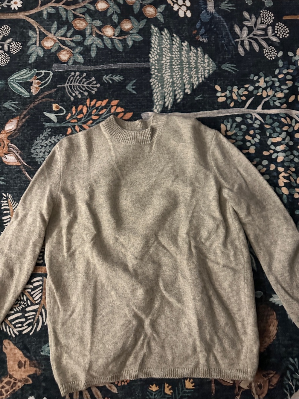 Women's Wool Crewneck Sweater - Beige